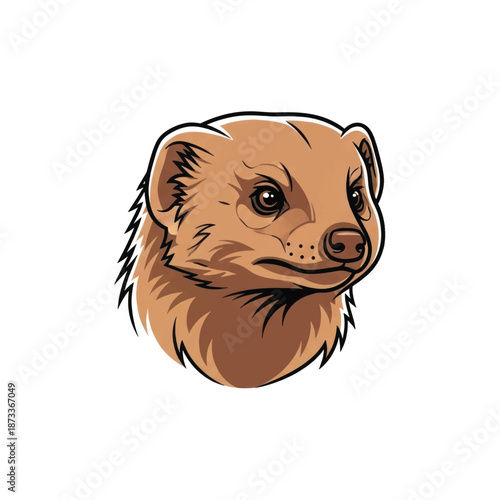 Illustrated ferret head portrait with inquisitive gaze and warm fur tones.