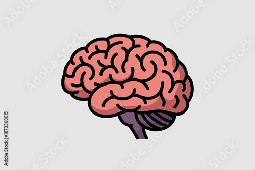 A cartoon illustration of a human brain on a plain background