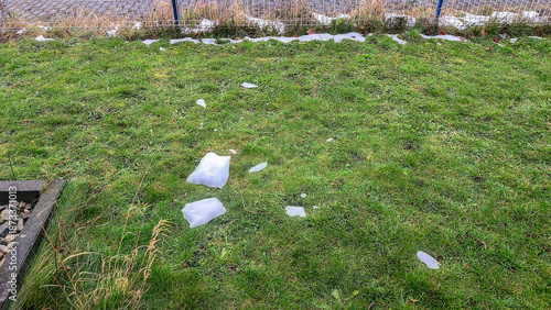 Wallpaper Mural Patches of melting snow scattered across a green lawn in late winter or early spring Torontodigital.ca