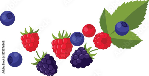 digital illustration, realism, vibrant colors, glossy texture, high detail, photorealistic, assorted berries, raspberries, blackberries, blueberries, leaves, natural, botanical, still life, scientific