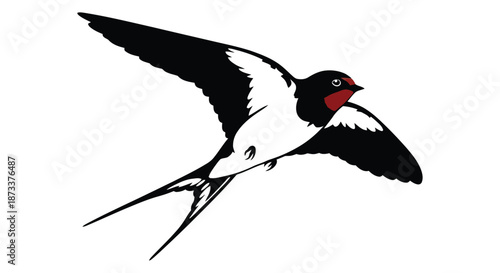 A black and white illustration of a swallow bird in flight, with a bold red beak and detailed wing feathers, stark and modern in style.
