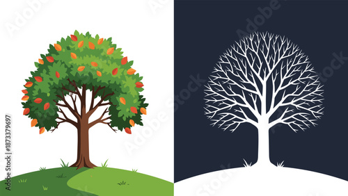 Conceptual comparison of a lush green tree in full bloom and a bare winter tree silhouette on a split background.
