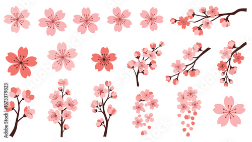 Delicate pink cherry blossom branches and flower arrangements in different compositions for elegant spring and Japanese-themed decorations.