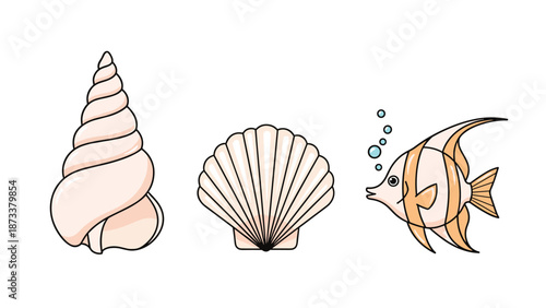 Collection of marine life illustrations including a spiral seashell a clam and a tropical angelfish on white background.