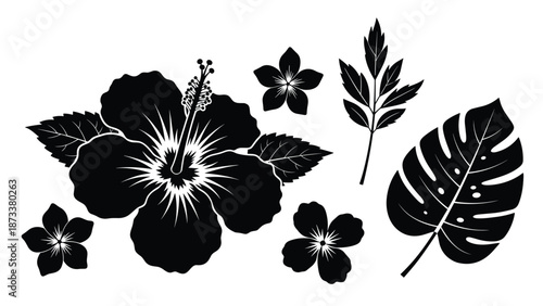 Collection of black silhouettes featuring tropical flowers and leaves such as hibiscus and monstera for botanical posters and nature themed designs.
