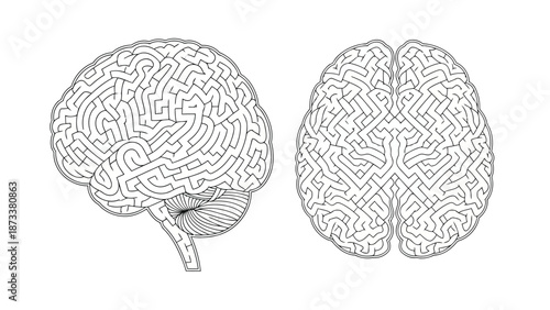 Intricate maze designs forming the shape of a human brain detailed illustration