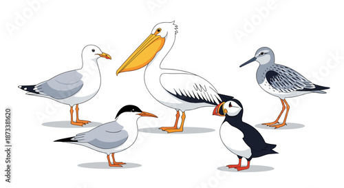 Seabirds Wildlife Illustration: Group of diverse shorebirds including pelican, puffin, seagull, and tern standing together creates a charming cartoon scene, ideal for children's ed.