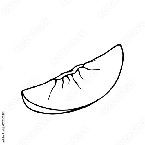 Summer peach outline, simple sketches of seasonal fruits. Vector graphics.