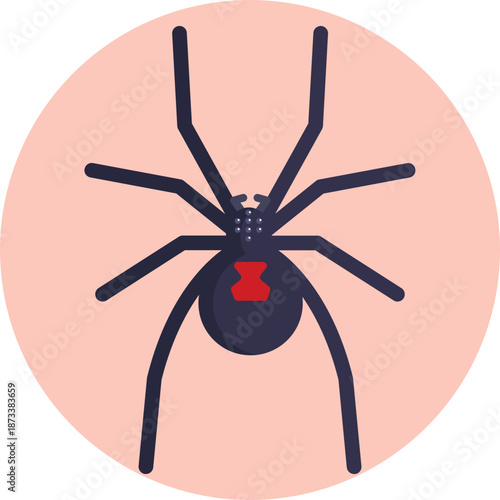 A simple spider symbol representing Australia’s well-known native arachnids, commonly associated with the country’s unique and sometimes dangerous wildlife.