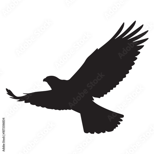 Flying Eagle Silhouette in Dramatic Pose with Dark Shadows on White Background for Wildlife Conservation