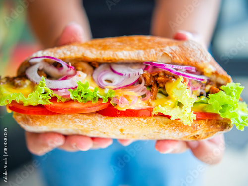 Obraz na plátně Delicious gourmet submarine sandwich being held