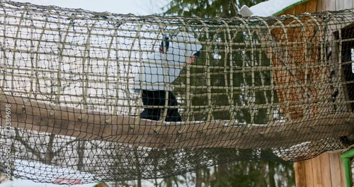 Child Exploring Rope Bridge in Outdoor Playground Adventure