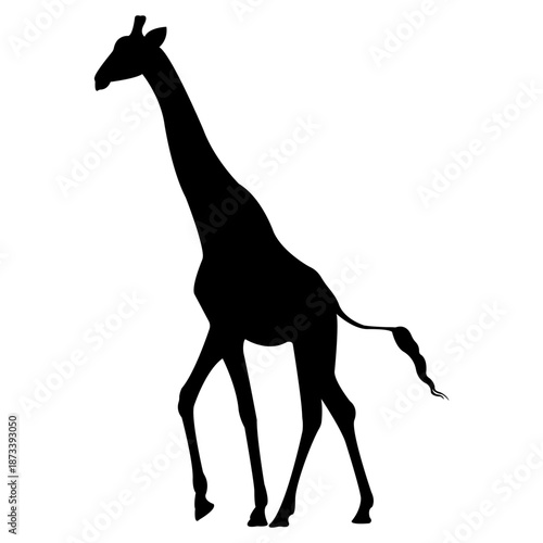 A giraffe walks alone in savannah landscape with trees and grass