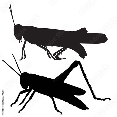 Two black silhouettes of grasshoppers are jumping on a white background with their antennae visible