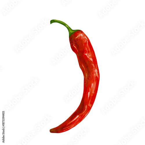 A pod of red, hot chili pepper. Vector graphics.