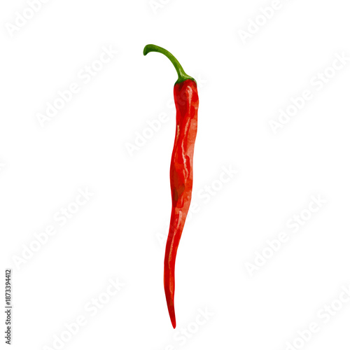 A pod of red, hot chili pepper. Vector graphics.