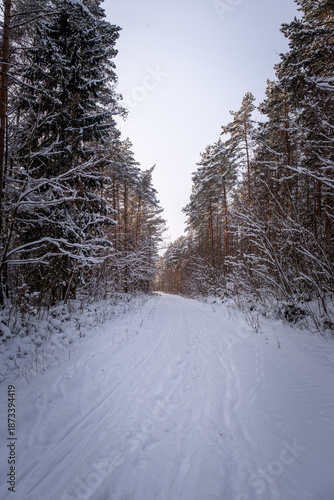 Zima na podlasiu - Polska