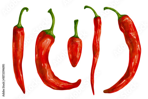 Collection of red hot chili pepper pods. Vector graphics.