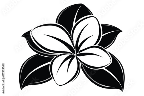 Elegant Plumeria Flower Silhouette Vector Illustration in Black and White