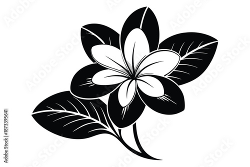Minimalist Frangipani Blossom Silhouette Design Element for Spa Branding