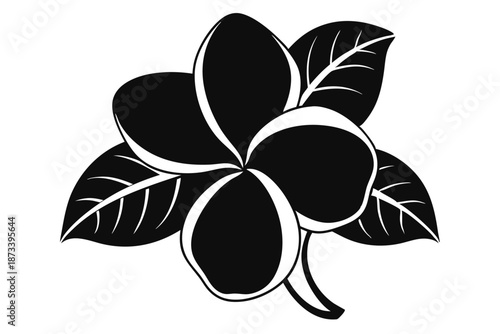 Tropical Plumeria Floral Vector Silhouette Isolated on White Background