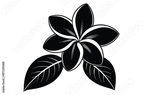 Single Frangipani Flower Head Black and White Silhouette Vector Art