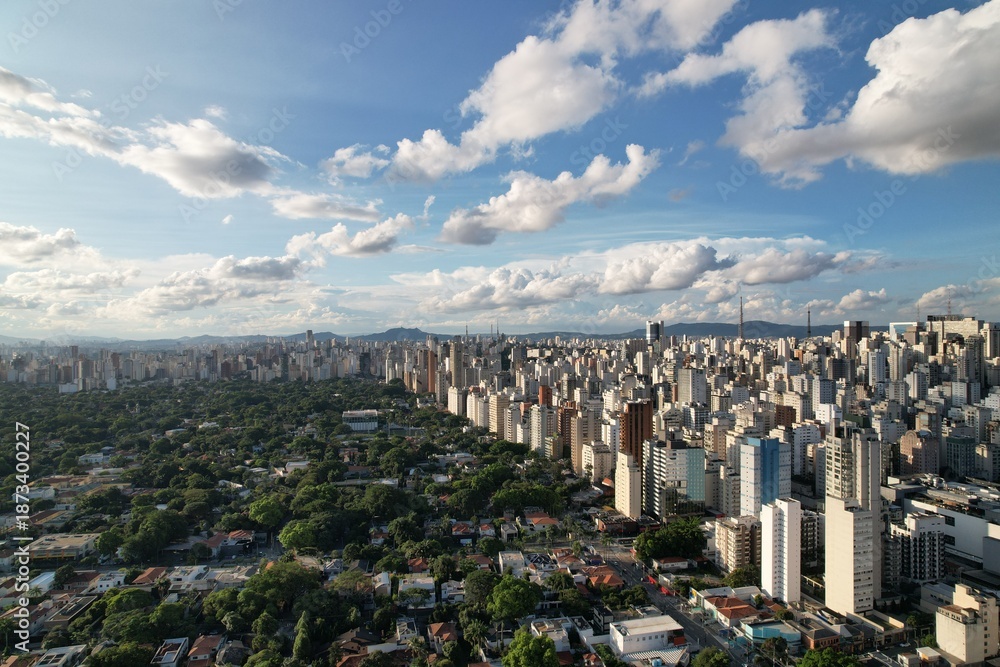 Fototapeta premium Sao Paulo skyline showcasing urban landscape under a clear sky
