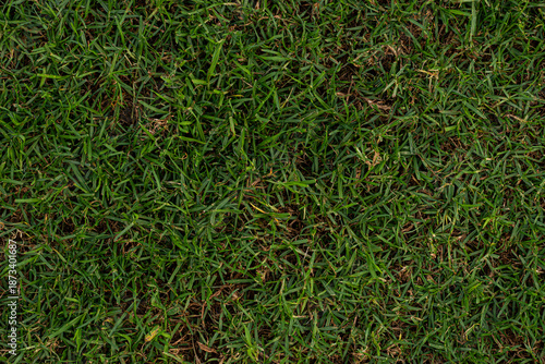 Foto Poorly maintained real grass texture for architecture and design