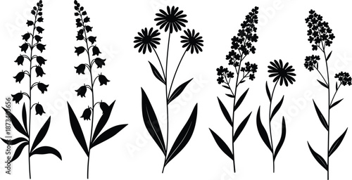 Black silhouette of wild flowers and meadow herbs collection, floral botanical elements set for wedding invitation, nature garden plants isolated on white background.