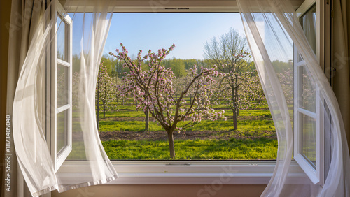 A bright and airy view from an open window with light, breezy white curtains fluttering in the wind. Outside, a beautiful pink flowering tree stands in a lush green garden under a clear blue sky. This