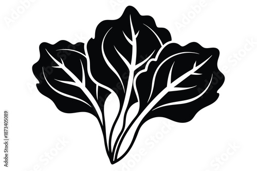 Black and White Spinach Silhouette, Natural Superfood Graphic for Vegan and Vegetarian Design