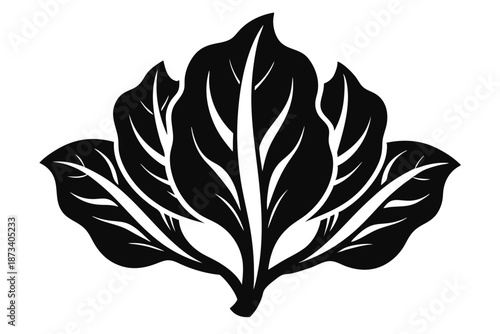Raw Spinach Leaf Silhouette, Minimalist Black and White Vector for Botanical and Food Art