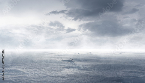 An empty snowy landscape, a...