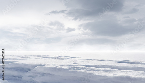 An empty snowy landscape, a...