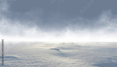 An empty snowy landscape, a...