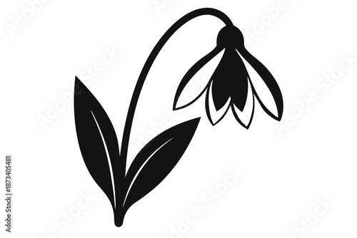 Snowdrop Bloom Silhouette, Minimalist Black Vector Flower Symbol on Isolated White Backdrop for Graphic Design
