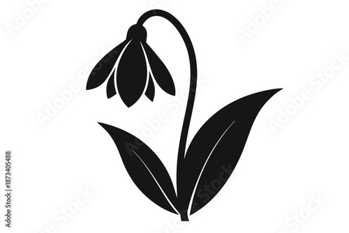 Detailed Snowdrop Flower Silhouette, Black and White Botanical Clipart for Spring Themes and Educational Material