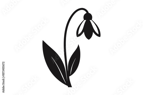 Detailed Galanthus Snowdrop Flower Silhouette, Black Monochrome Botanical Vector Graphic for Nature Documentation