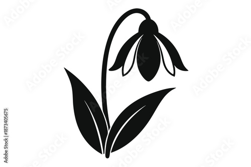 Minimalist Snowdrop Blossom Silhouette, Black and White Vector Flower on Plain White Background for Clean Design