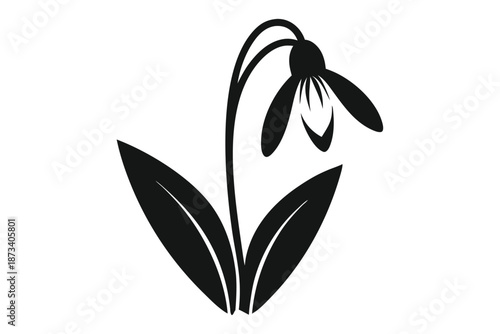Isolated snowdrop flower silhouette, classic black and white vector design on a white background