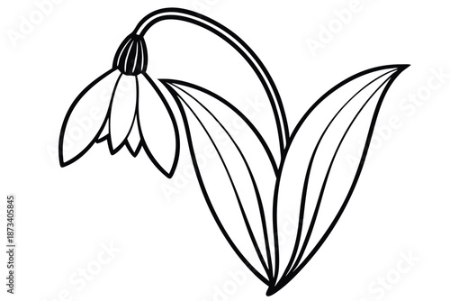 Single snowdrop flower line art, minimalist black and white vector graphic on a white canvas