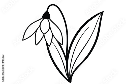 Abstract snowdrop flower line art, artistic black and white vector design on white background