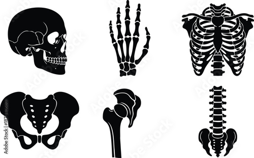 Flat silhouette vector icon set of human skeletal elements skull hand ribcage pelvis femur spine arranged in grid black on white minimal medical anatomy diagram