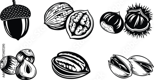 Woodcut style close up assorted nuts collection acorn walnut chestnut hazelnut pecan pistachio botanical arrangement top view black ink vector illustration engraving texture bold lines high