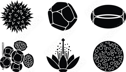 Flat design botanical spore and pollen icon set close up six black silhouettes showing pollen grain clusters single grain seed pod lotus stamen cross section detail