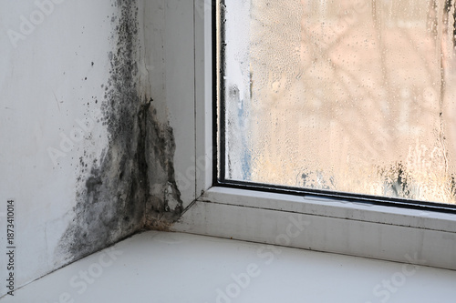 Tableau sur toile Close-up view of mold on window frame with noticeable discoloration and damage to surface