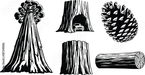 Linocut style front view giant tree with hollow trunk and small car visible pine cone stump log cross section detailed wood grain vector artwork black white