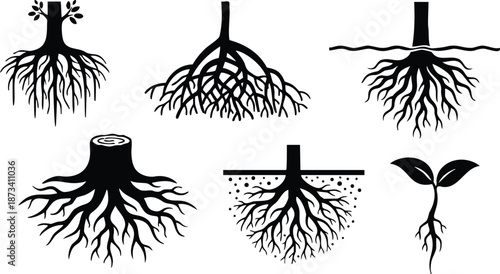 Flat design overhead cross section tree root silhouettes showing stump seedling trunk soil profile and intricate root systems in black vector art isolated icon set minimal