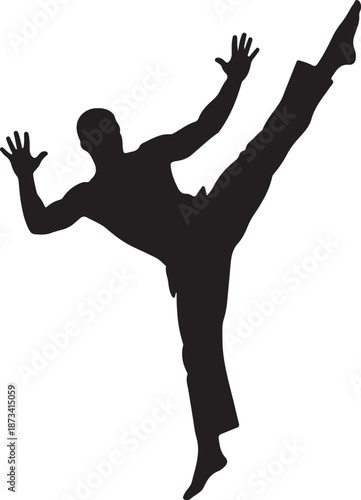 Dynamic silhouette of a person executing a powerful high kick, representing martial art
