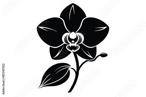 Three orchid flowers, simple black and white silhouette illustration on white